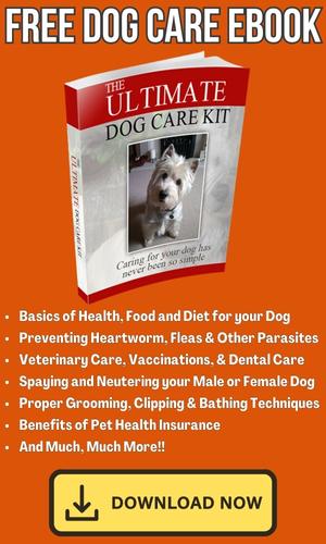 Dog Care Ebook
