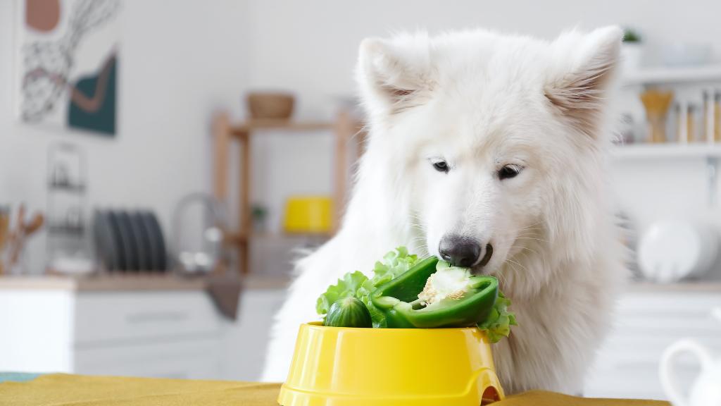 Fruits and Vegetables for Dog